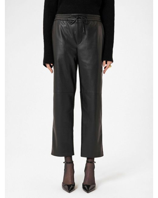 Antioch Black Hose 'Bleona'