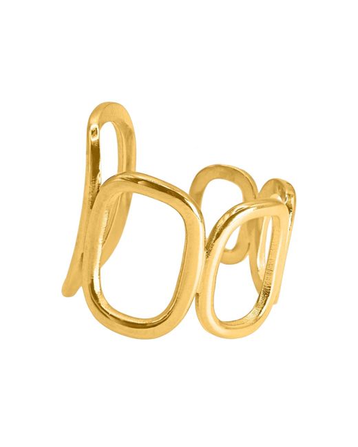 Heideman Metallic Ring Variu
