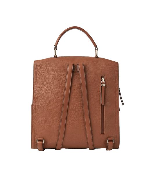 Fiorelli Brown Rucksack Isla