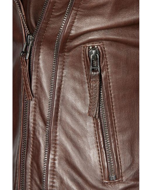 Apple Of Eden Brown Lederjacke Taillierte Passform