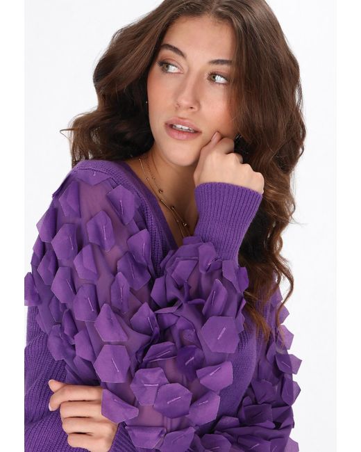faina Purple Pullover