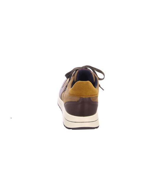 Ara Sneaker in Brown für Herren