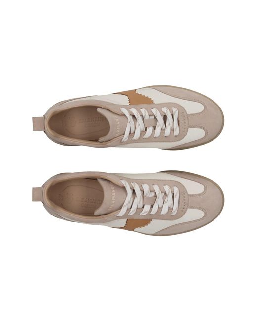 Salamander Multicolor Sneaker