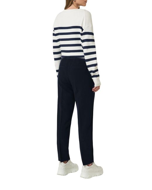 comma casual identity Blue Hose