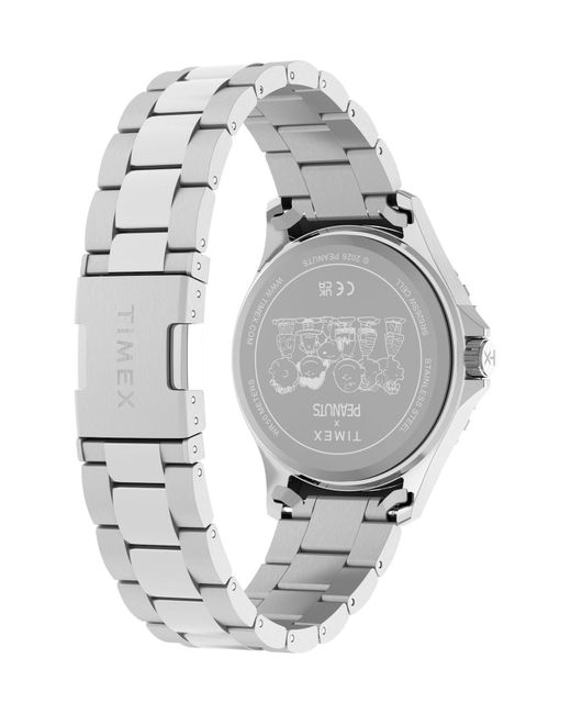 Timex Gray Analoguhr