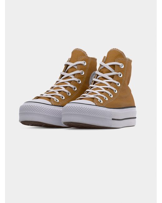 Converse Multicolor Sneaker Ctas
