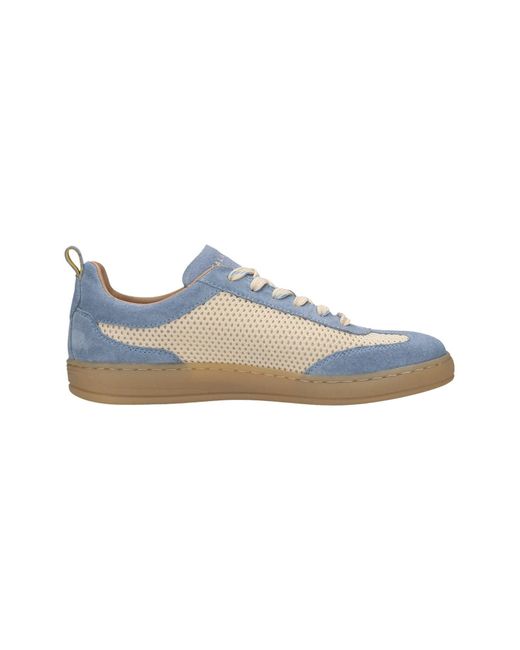Salamander Blue Sneaker