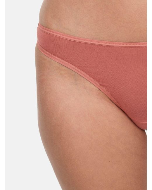 Nur die Blue String Basic