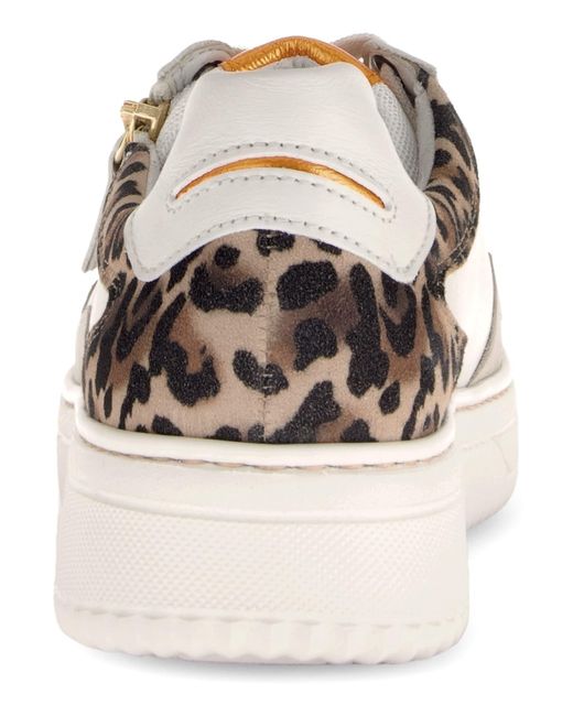 Gabor Black Sneaker