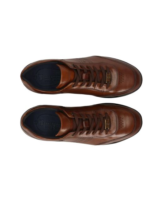Salamander Sneaker in Brown für Herren