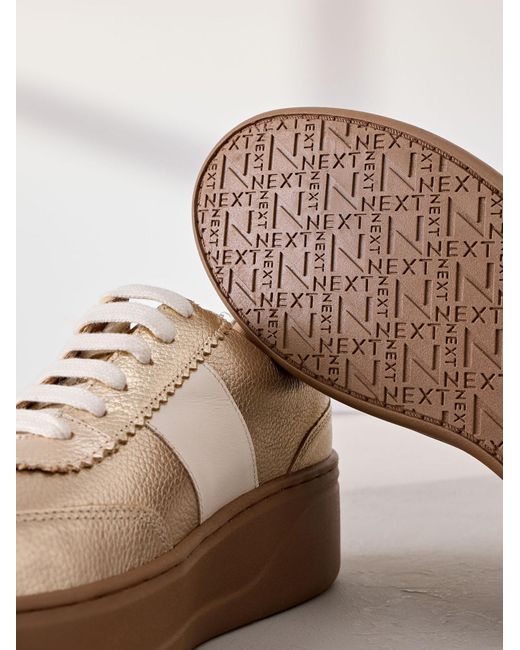 Next Multicolor Sneaker