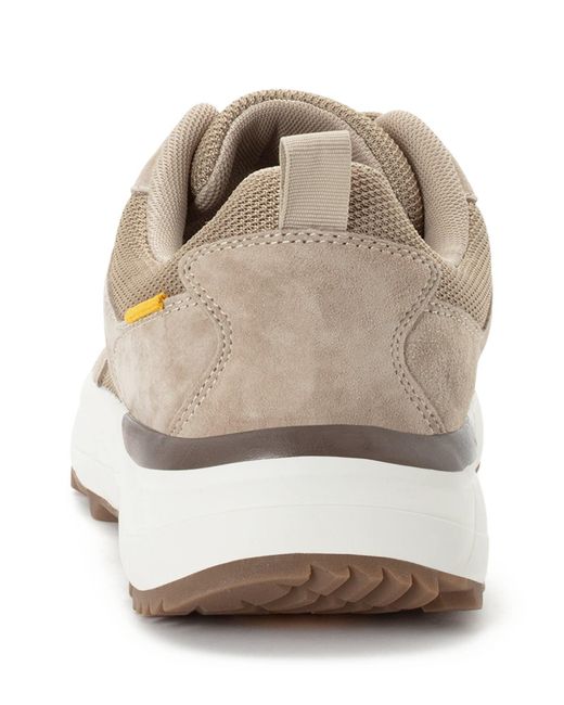 Camel Active Sneaker in Natural für Herren