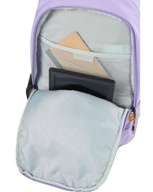 Nitro Rucksack Chase in Purple für Herren