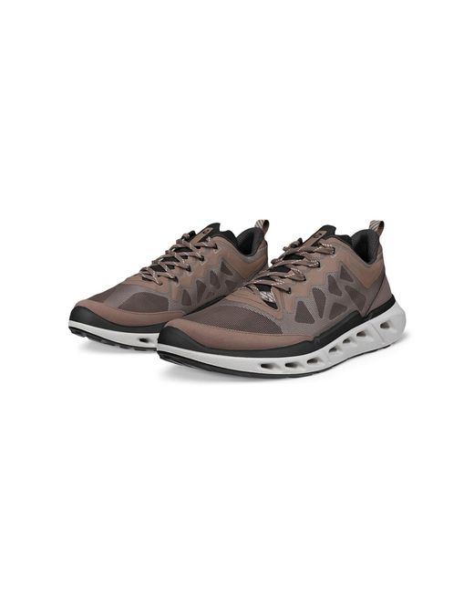 Ecco Sneaker Biom 720 in Brown für Herren