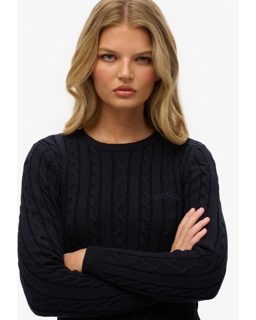Superdry & Co Blue Pullover Essentials