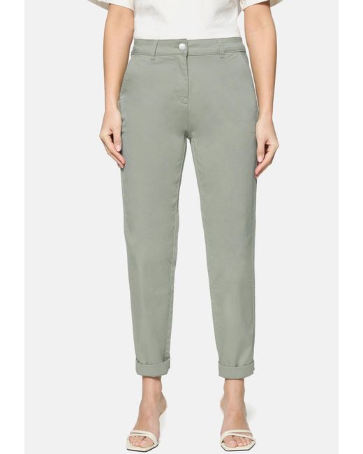Zero Gray Hose