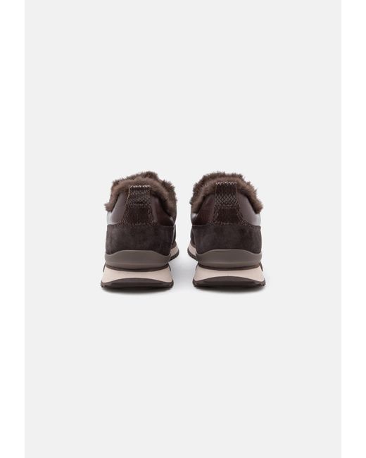 Gabor Brown Sneaker