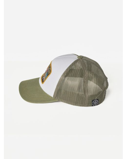 Koröshi Blue Cap