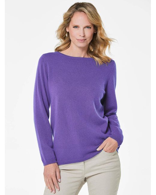 Goldner Purple Pullover