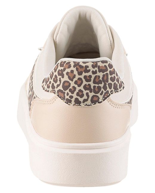 Aniston Black Sneaker