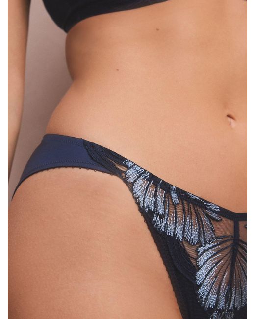 Next Blue Slip