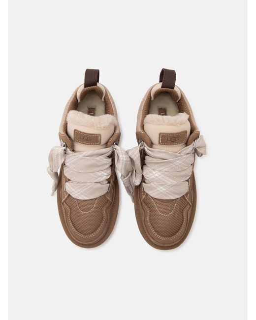 Ugg Brown Sneaker Lowmel