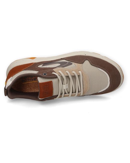 Camel Active Sneaker in Brown für Herren