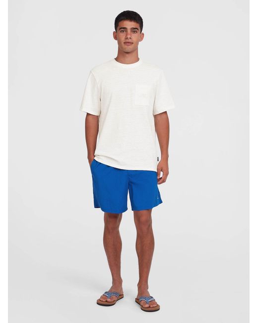 O'neill Sportswear Oneill Badeshorts Vert 16 in Blue für Herren