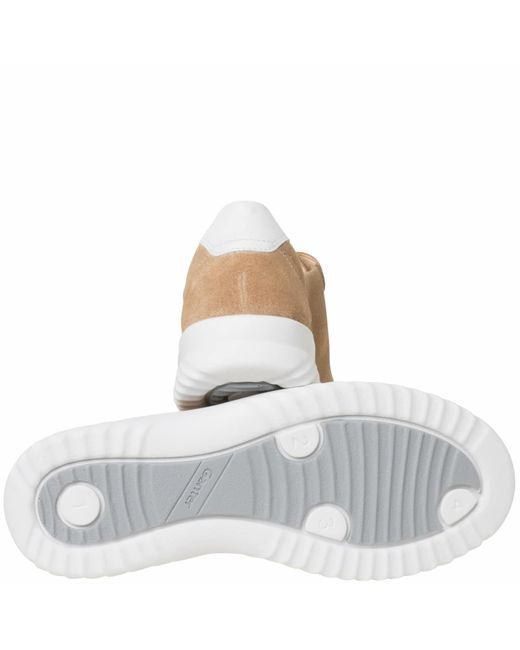 Ganter Brown Sneaker