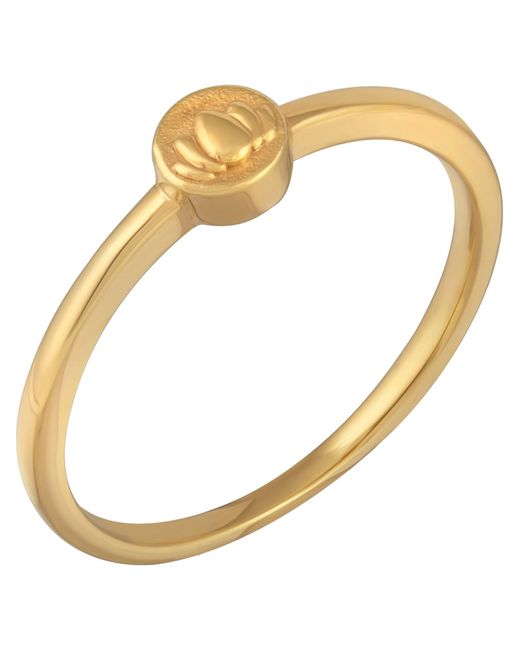 Caï Metallic Ca Ring