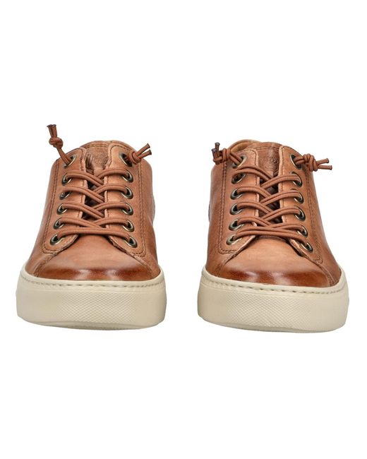 Paul Green Brown Sneaker