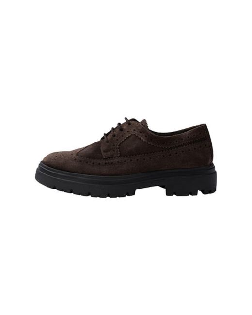 Lloyd Black Budapester Azure
