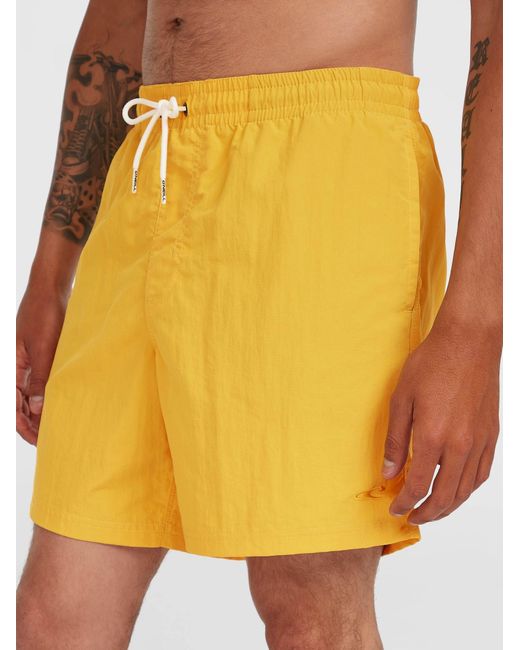 O'neill Sportswear Oneill Badeshorts Vert 16 in Yellow für Herren