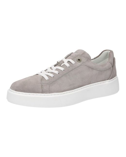 Sioux Sneaker Tils in Gray für Herren