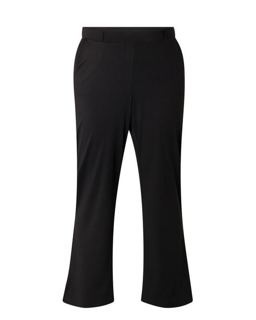 Base Level Curvy Black Hose