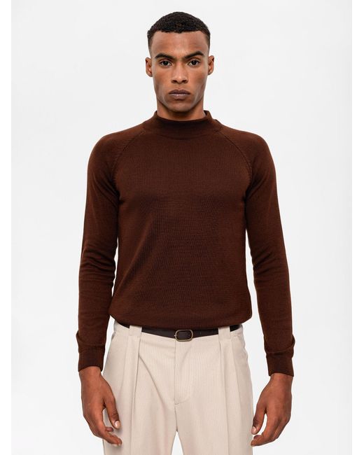 Antioch Pullover in Brown für Herren