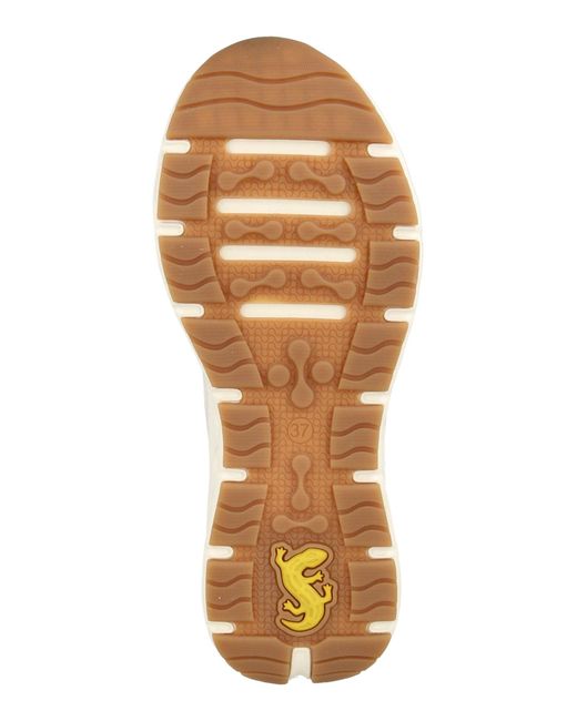 Salamander White Sneaker