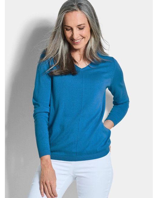 Goldner Blue Pullover
