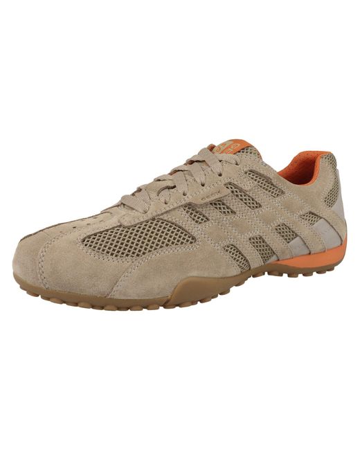 Geox Sneaker Snake Original in Brown für Herren