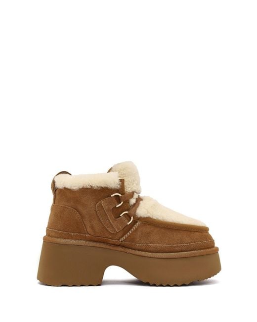 Derimod Brown Stiefelette