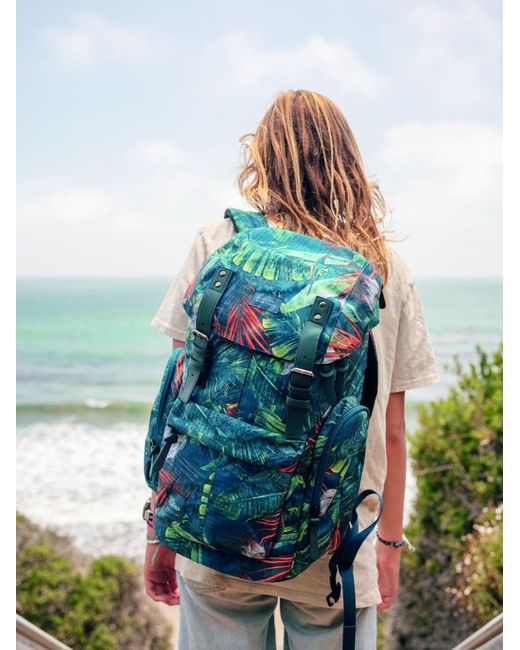 Nitro Rucksack Daypacker in Blue für Herren
