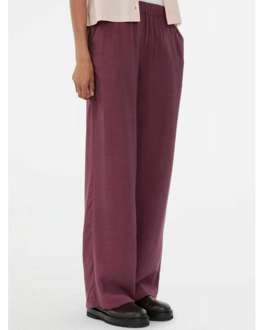 Modström Purple Trouser Nickimd