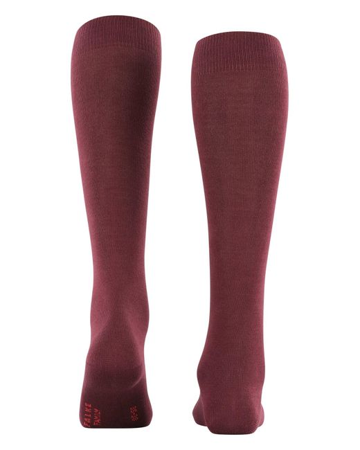Falke Red Kniestrümpfe Family