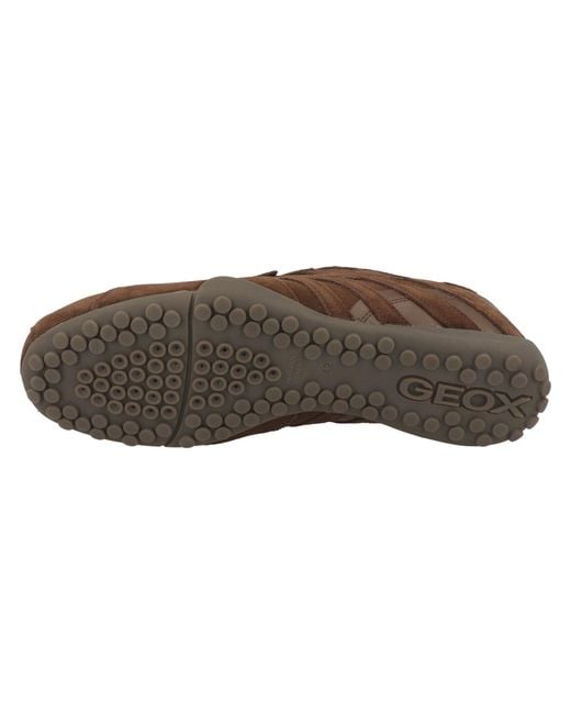 Geox Sneaker in Brown für Herren