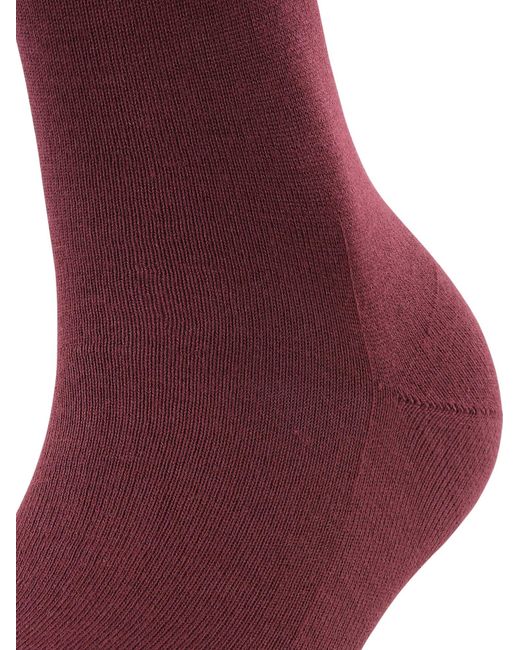 Falke Red Kniestrümpfe Family