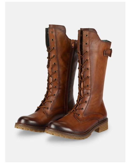 Felmini Brown Stiefel Caster E331