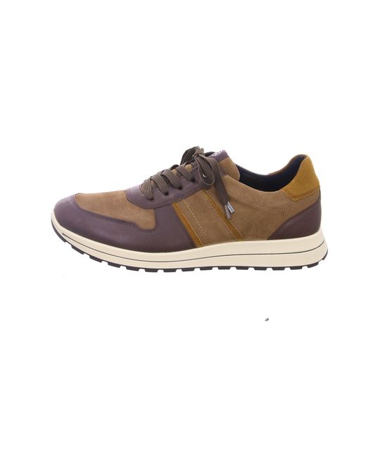 Ara Sneaker in Brown für Herren