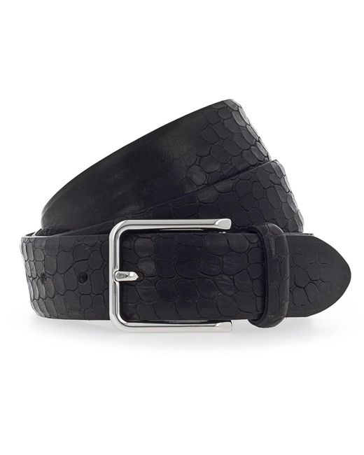 B. Belt Blue Gürtel Karl