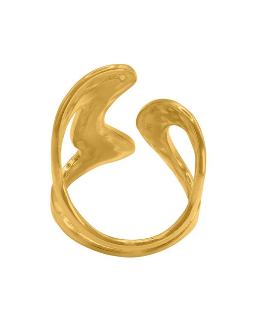 Heideman Metallic Ring Sabin