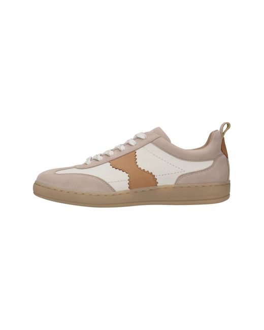 Salamander Multicolor Sneaker
